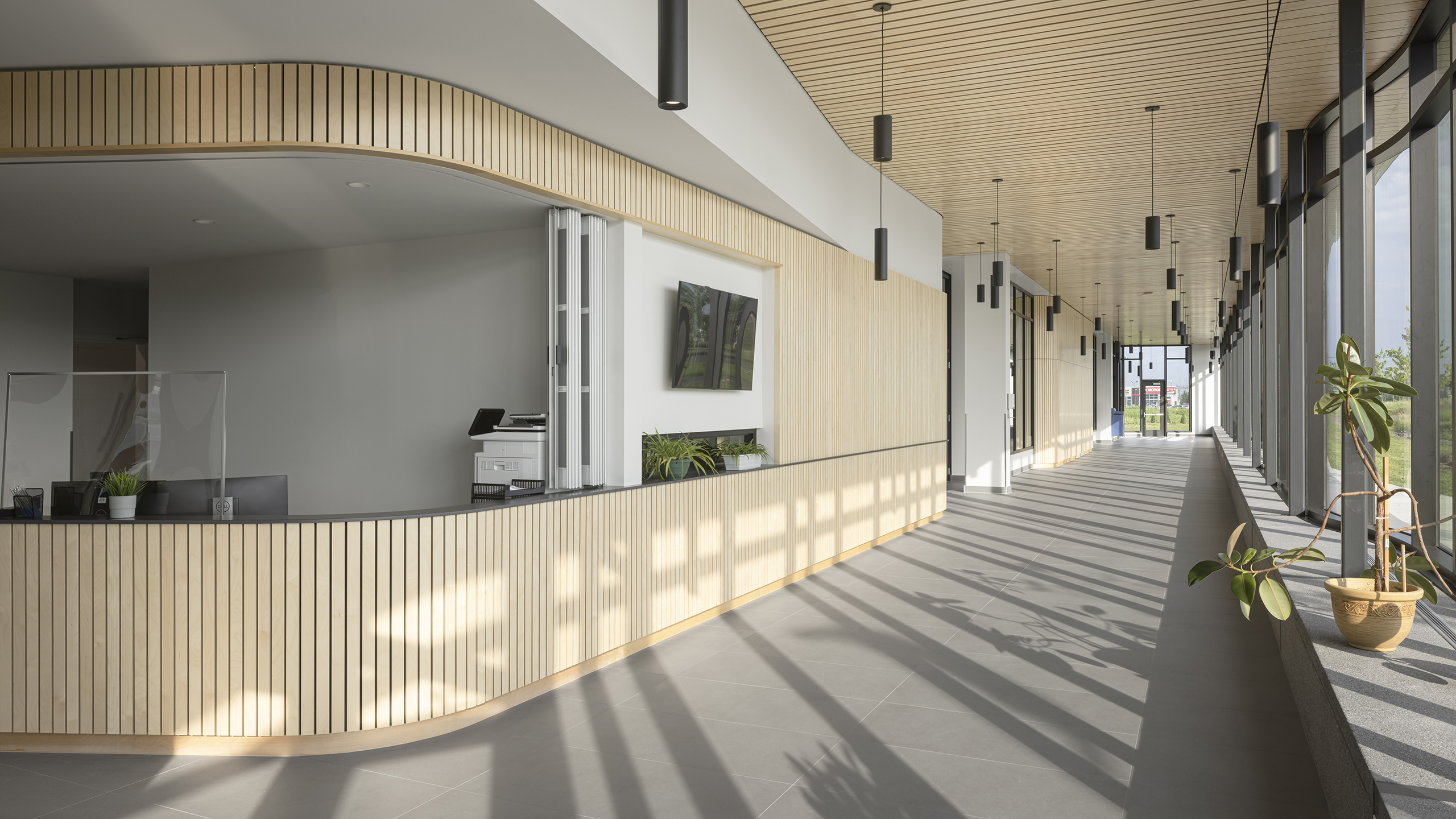 Un couloir de bureaux spacieux et moderne avec de grandes fenêtres laissant entrer beaucoup de lumière naturelle. Il y a un bureau de réception incurvé avec un ordinateur et des plantes dessus. Le couloir présente un plafond en bois avec des lumières suspendues et des plantes d'intérieur sont placées le long du rebord de la fenêtre, faisant écho à l'élégance de la construction d'un complexe sportif.