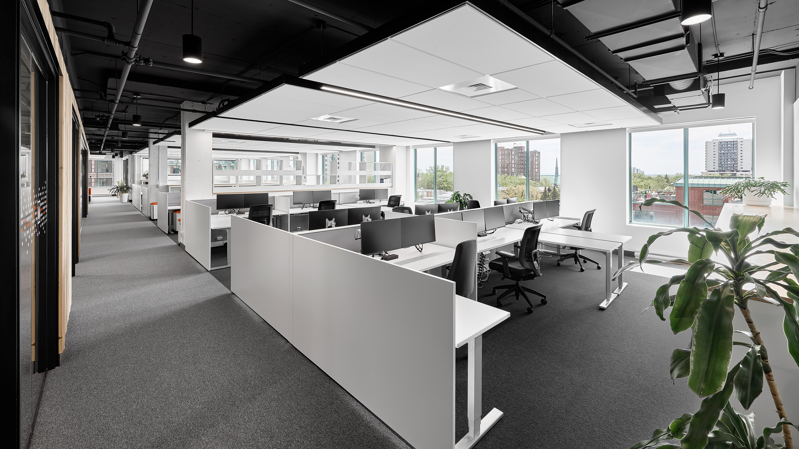 Un bureau moderne à aire ouverte avec des rangées de bureaux blancs équipés d'ordinateurs et de chaises ergonomiques. De grandes fenêtres offrent une lumière naturelle abondante et une vue sur le paysage urbain, mettant en valeur l'aménagement intérieur des bureaux. Des plantes en pot ajoutent de la verdure et le plafond présente des conduits apparents.