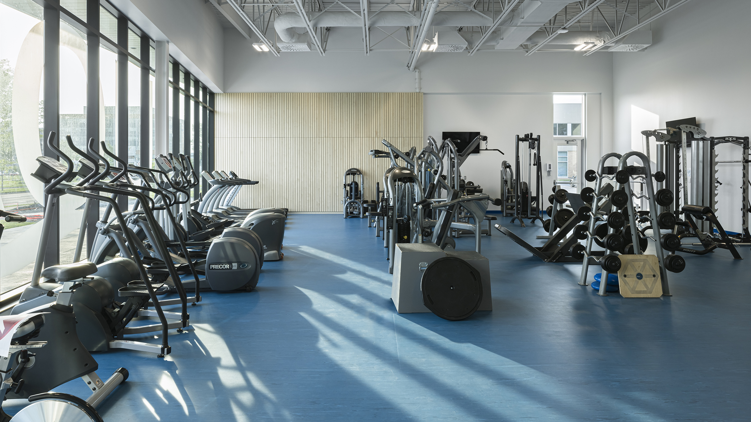 Une salle de sport moderne au sol bleu, dotée de divers équipements d'exercice : tapis roulants, vélos elliptiques, vélos stationnaires, appareils de musculation et poids libres. De grandes fenêtres sur la gauche permettent à la lumière naturelle de remplir l'espace. La salle a un aménagement propre et organisé, témoignant de la construction d'un complexe sportif.