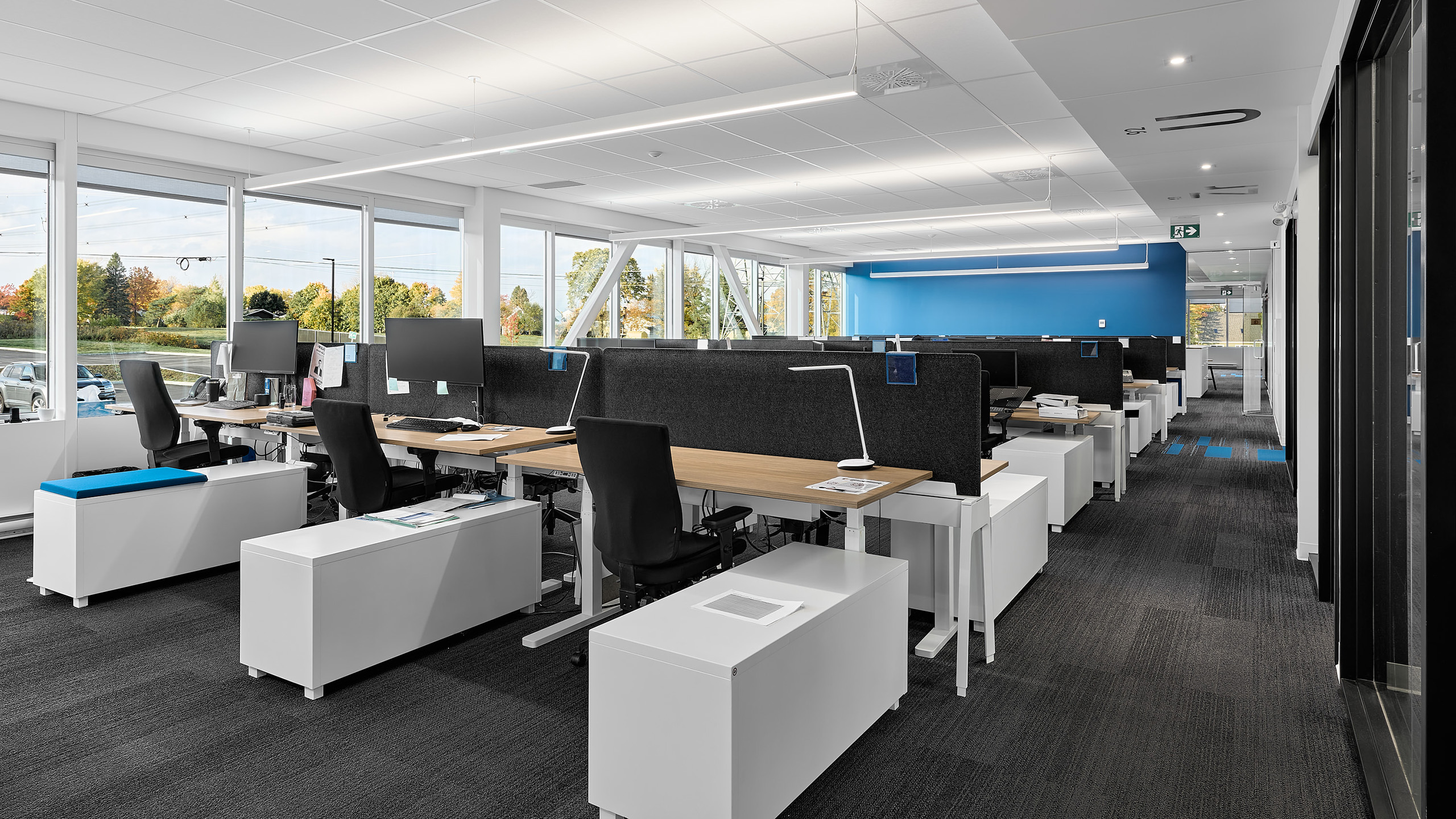 Un bureau spacieux et moderne avec de grandes fenêtres et de la lumière naturelle, conçu lors de la construction d'un nouveau siège social. Il comprend des rangées de bureaux blancs avec des chaises noires, des cloisons pour plus d'intimité et une décoration minimaliste. Du matériel de bureau et des ordinateurs sont placés sur les bureaux, tandis que des arbres d'automne sont visibles à l'extérieur.